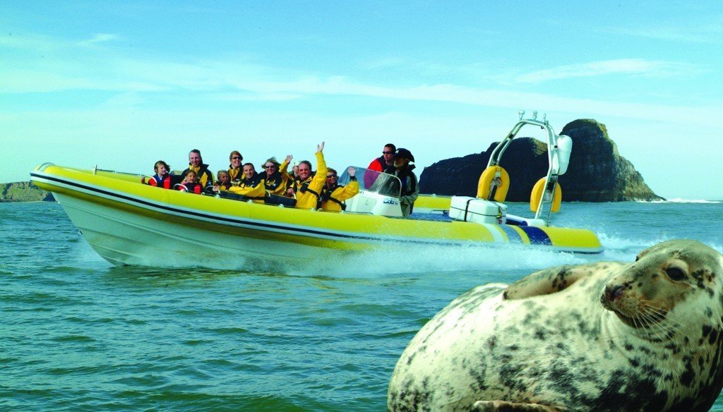 National Marine Week Marine Life on Gower Visit Swansea Bay