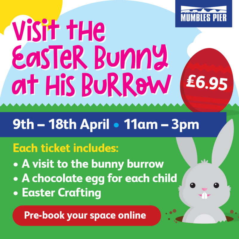 Visit the bunny